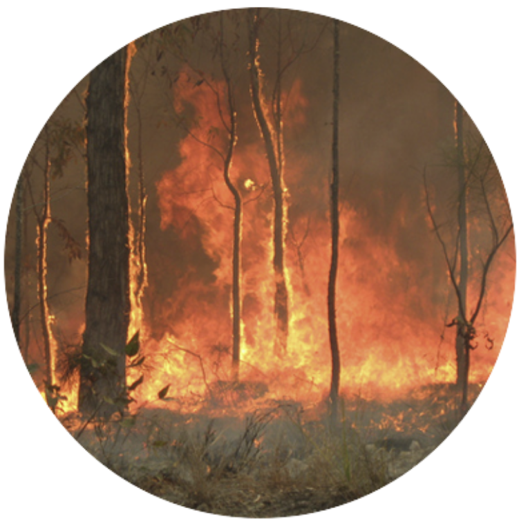 bushfire management plans & bushfire management overlay statements screenshot