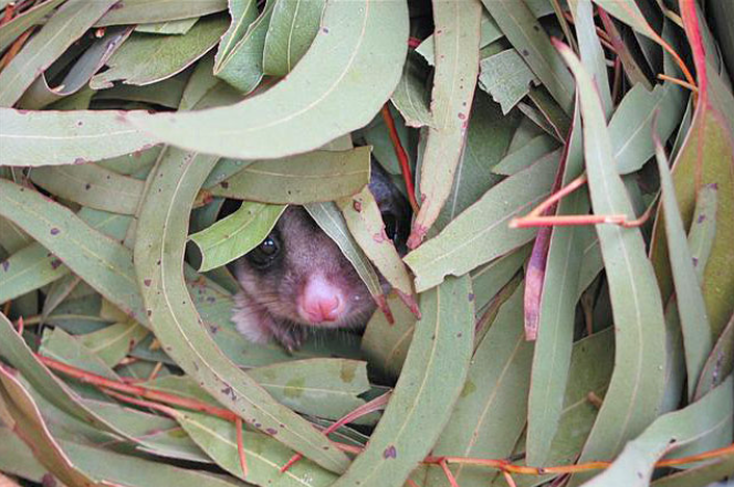 contact us page image screenshot