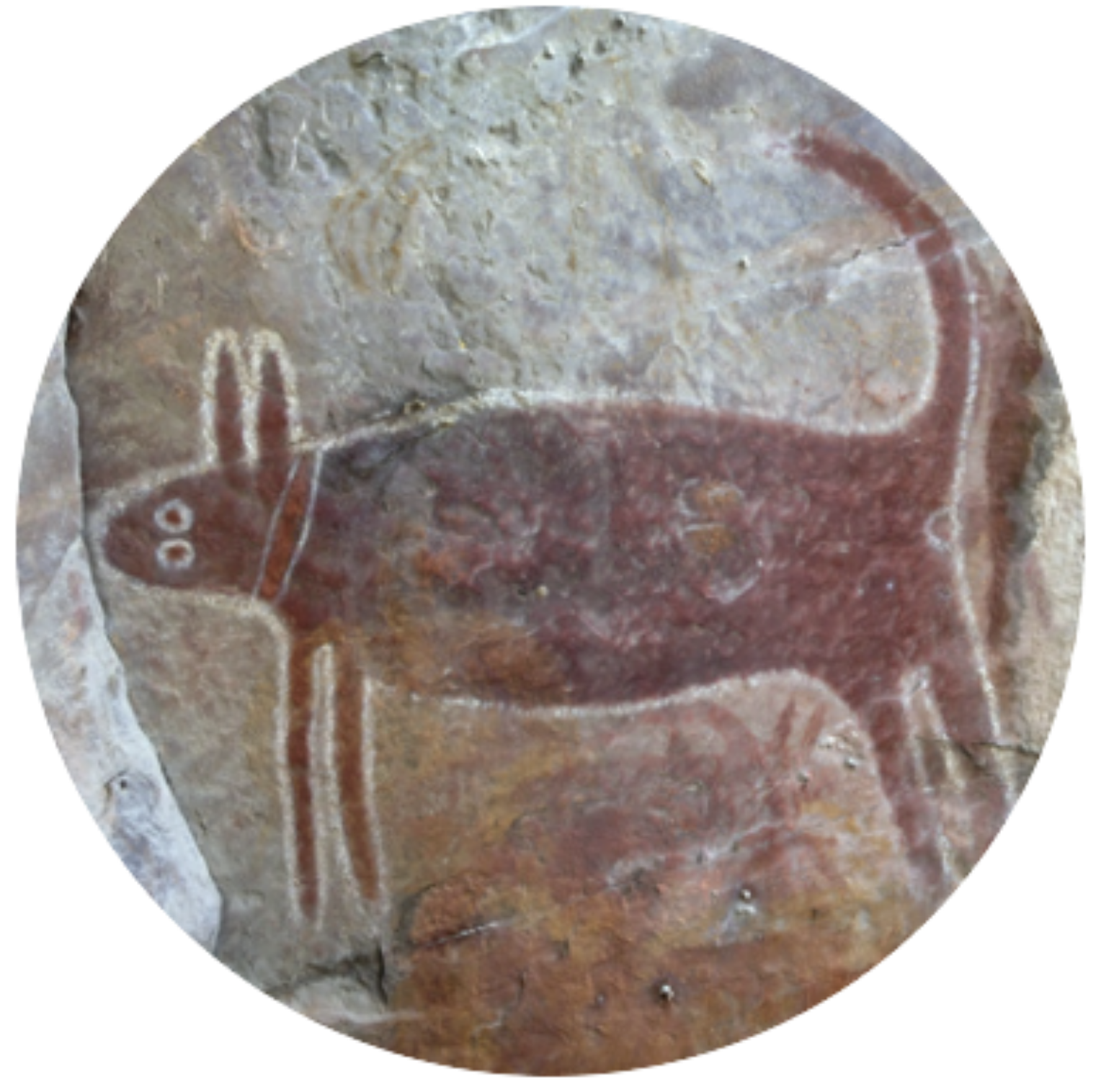 cultural heritage management & native title screenshot