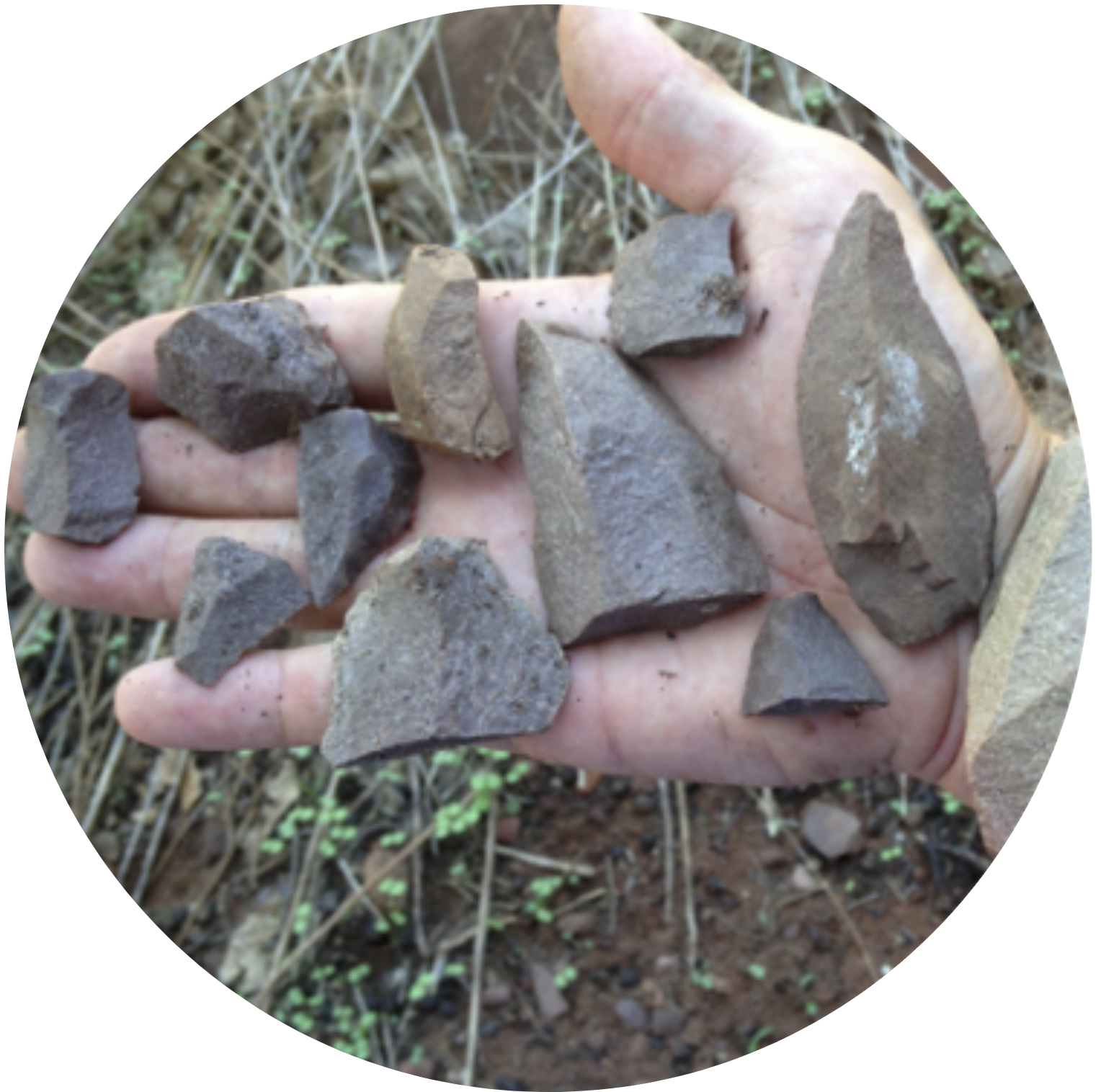 cultural heritage management plans screenshot