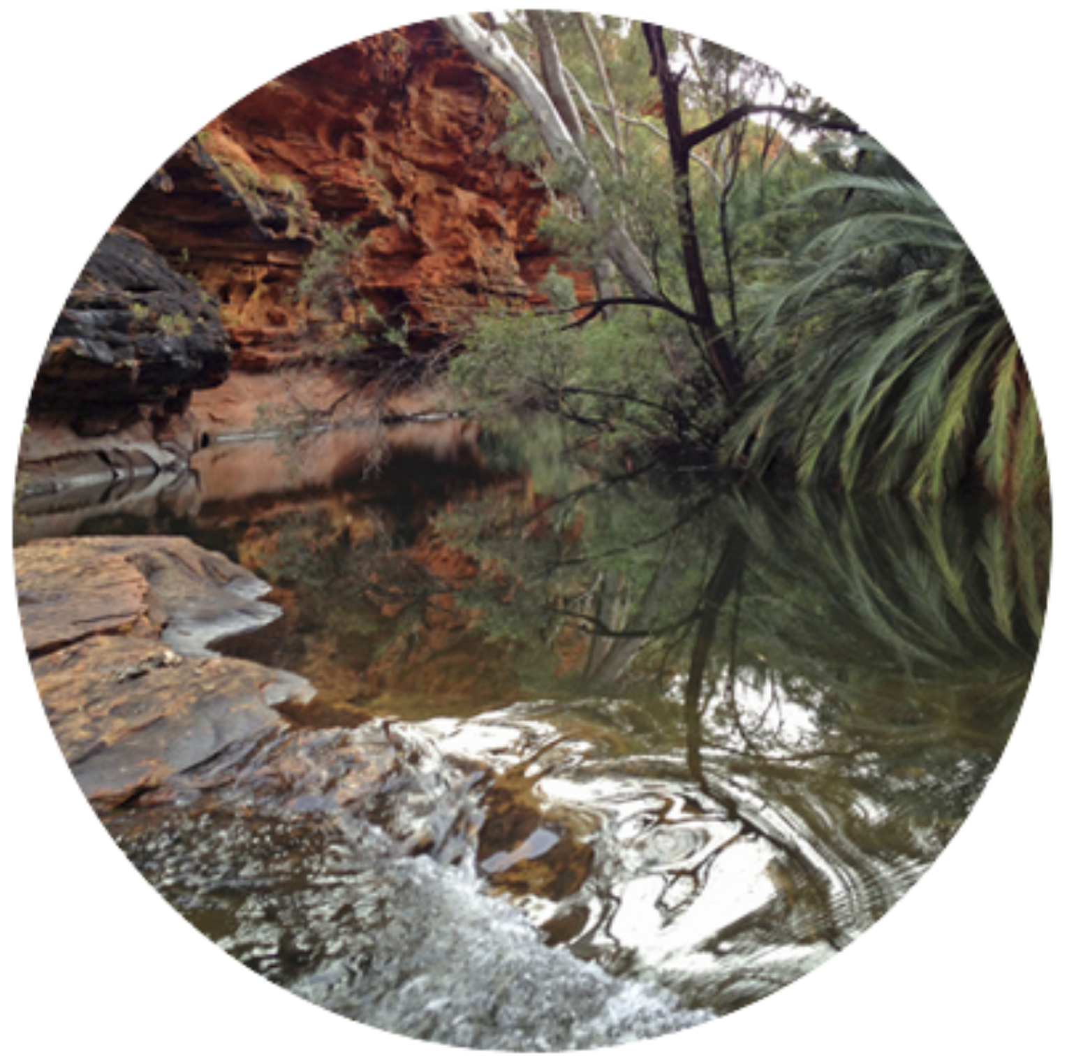 environmental impact assessment screenshot