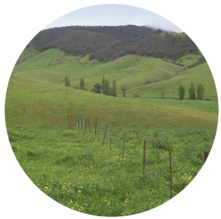 environmental restoration plans screenshot