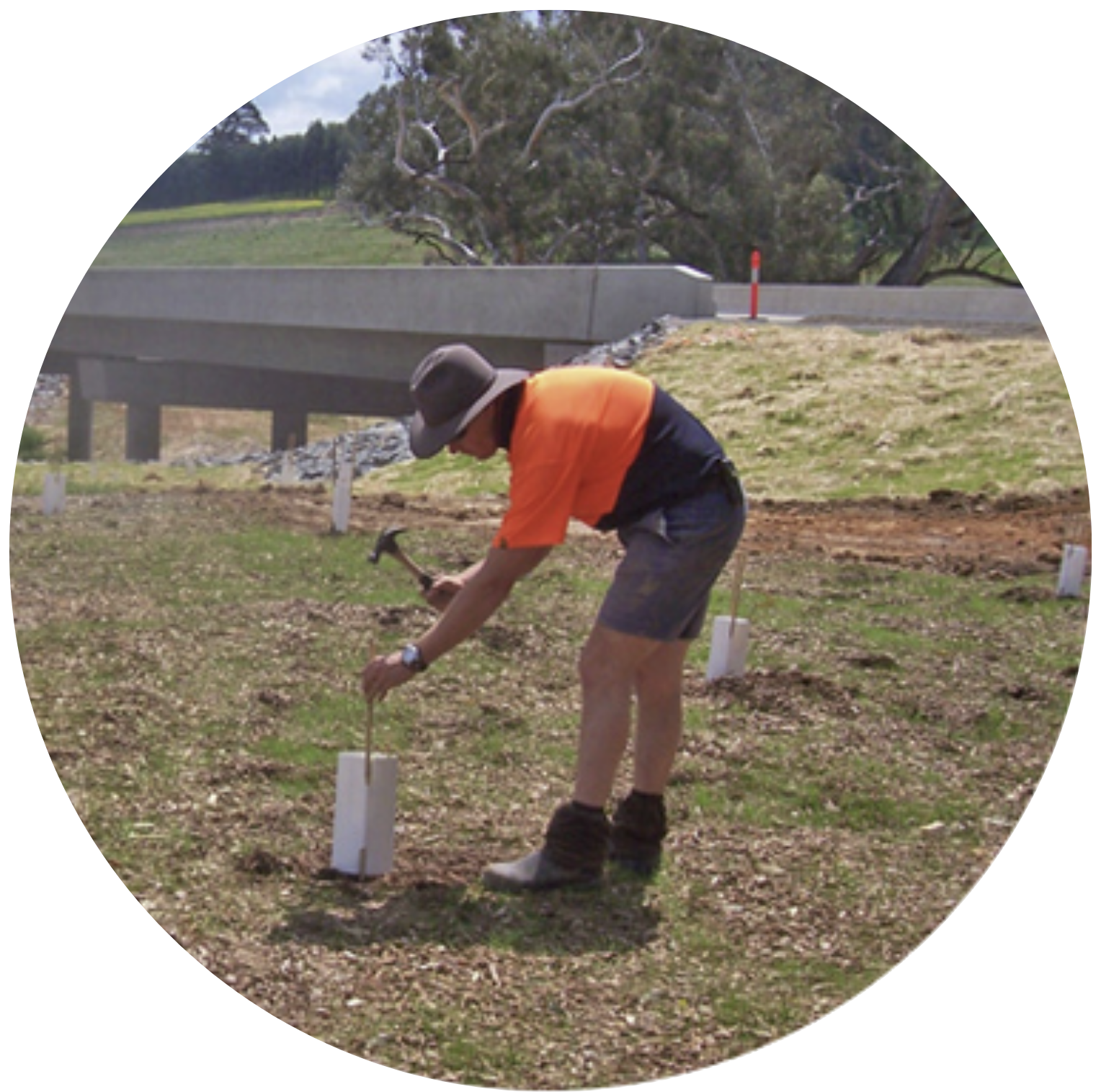 environmental restoration screenshot