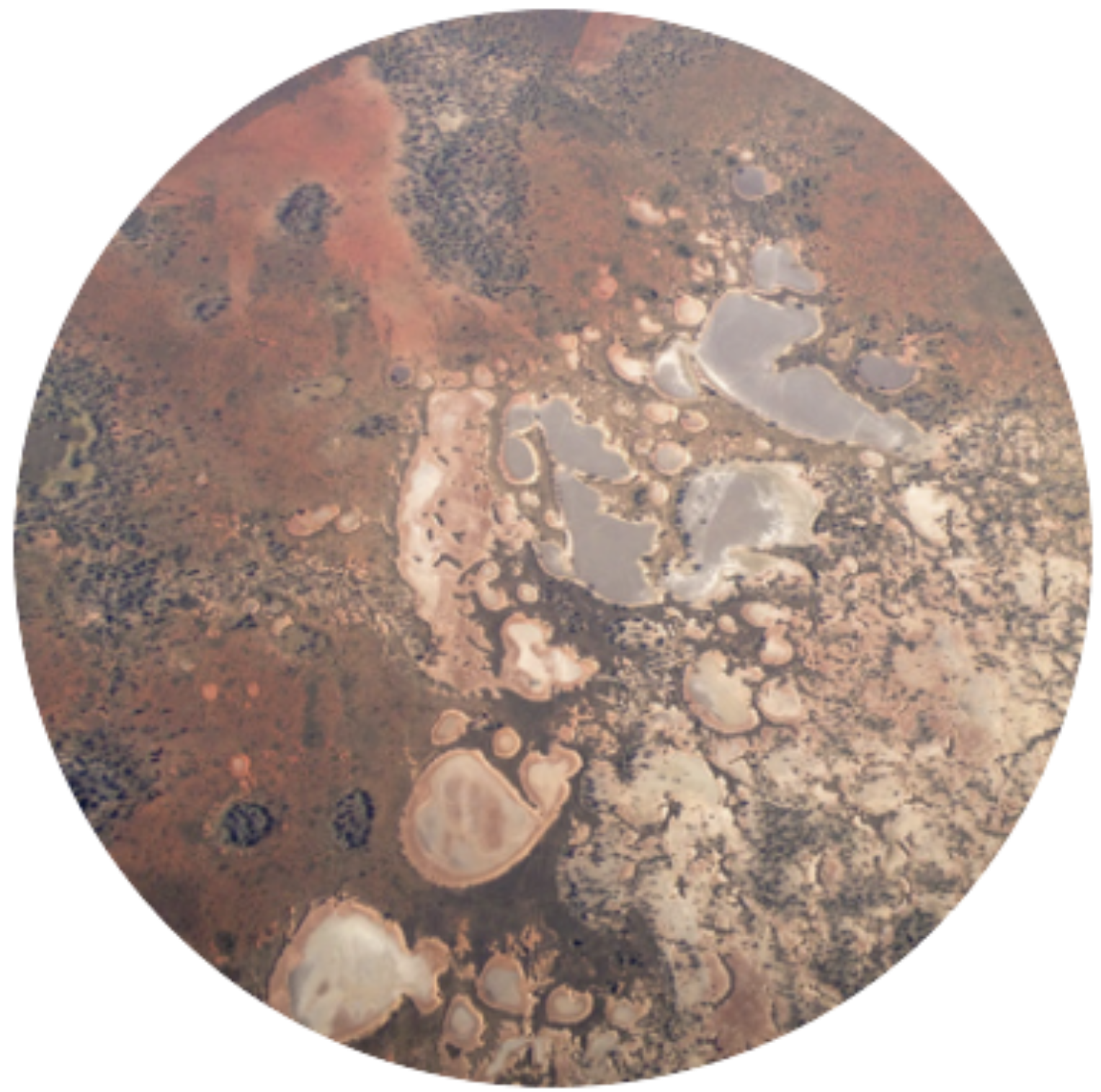 geographical information systems (gis) data collection screenshot